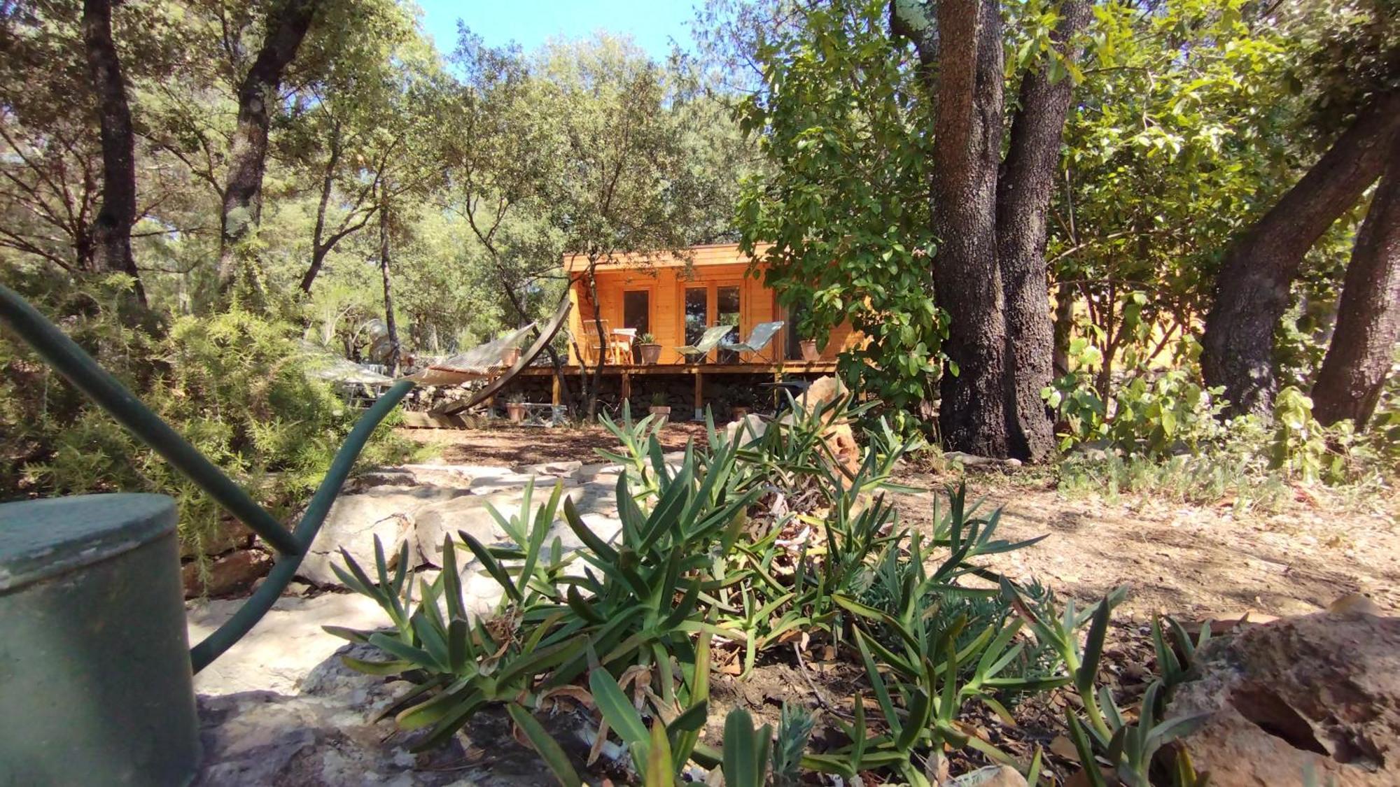 Bed and Breakfast La Bergerie Des Colles Entrecasteaux Exterior foto