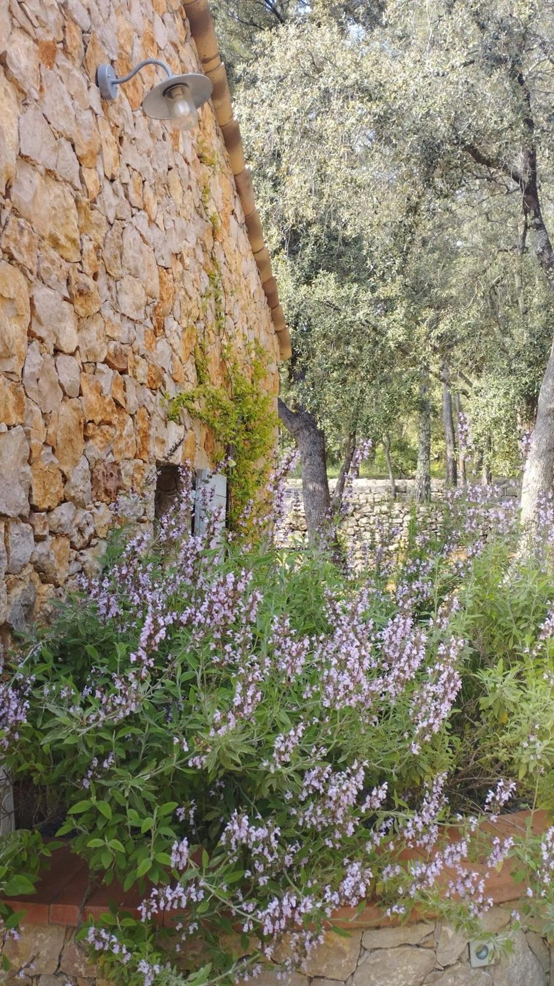 Bed and Breakfast La Bergerie Des Colles Entrecasteaux Exterior foto